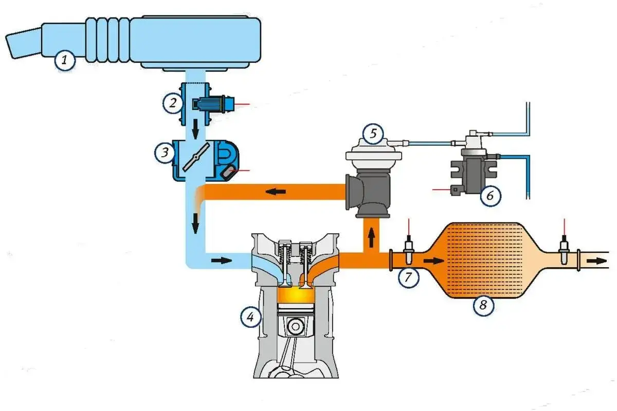Schemat układu dolotowego i wydechowego silnika. Czy zaślepienie EGR zwiększa moc? Diagram pokazuje przepływ powietrza i spalin, turbosprężarkę, katalizator.